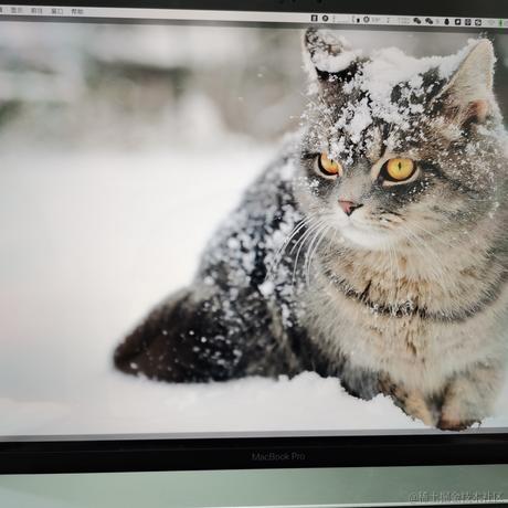 一拳不是超人于2020-08-20 15:07发布的图片