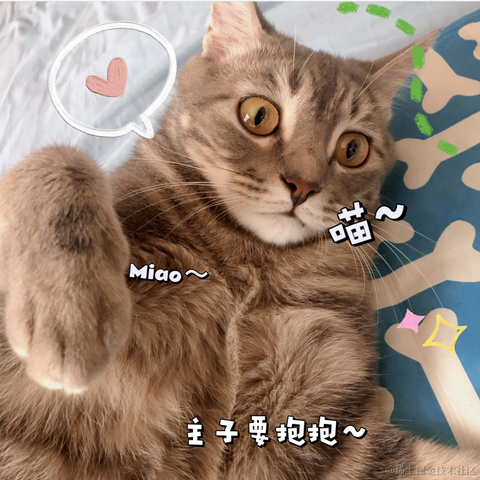 白又白i于2021-09-23 16:37发布的图片