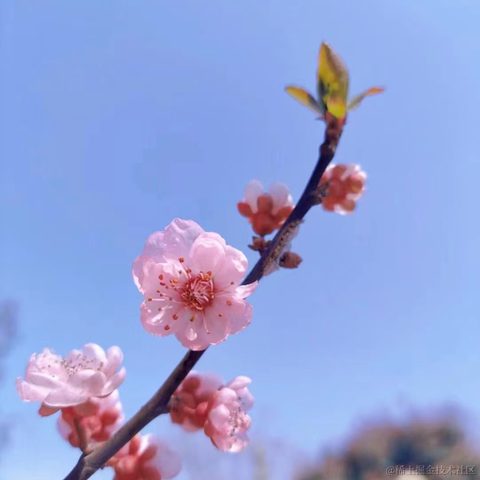 上东我锐仔于2023-03-15 01:09发布的图片