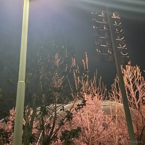 又困了大王于2023-04-11 21:31发布的图片