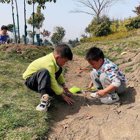 tiny_dust于2023-03-17 18:25发布的图片