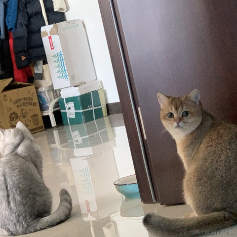 小蝴蝶于2021-12-25 14:16发布的图片