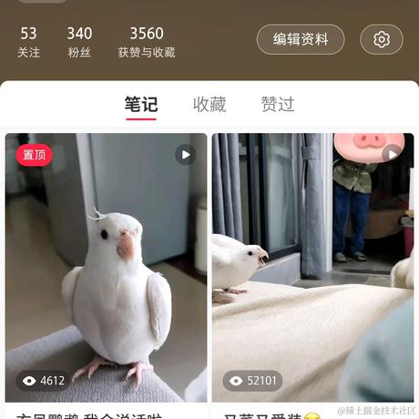 spoofer于2023-01-12 17:56发布的图片