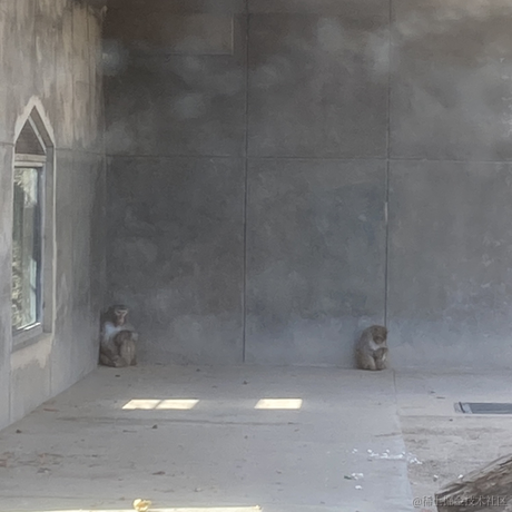 PeAChPai于2023-04-17 08:52发布的图片