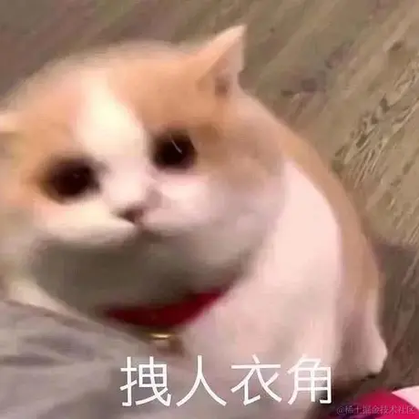 采黎于2023-03-28 11:14发布的图片