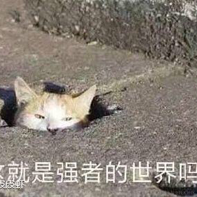 法外狂徒_张三于2021-07-19 10:34发布的图片