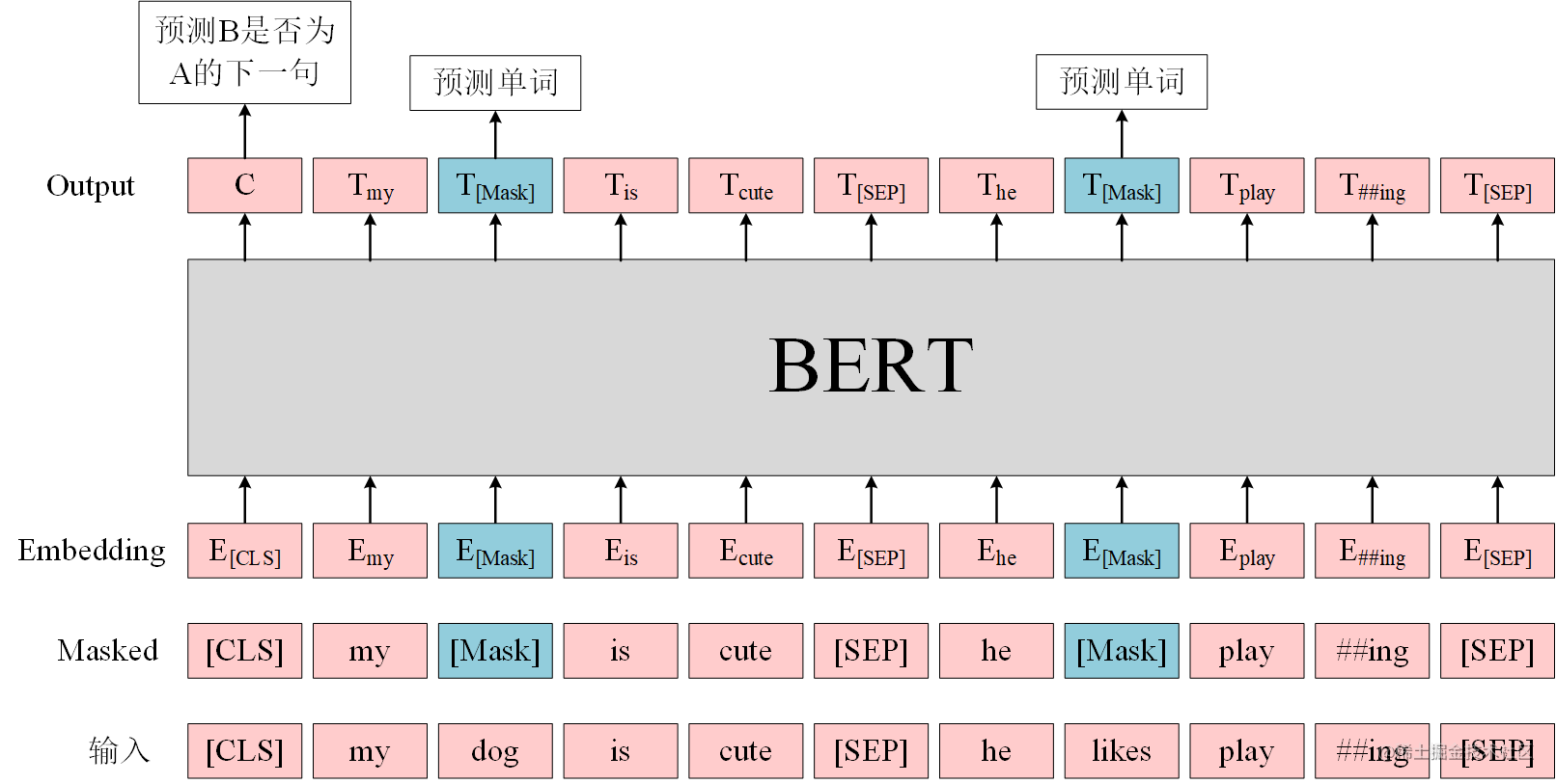 彻底理解 Google BERT 模型