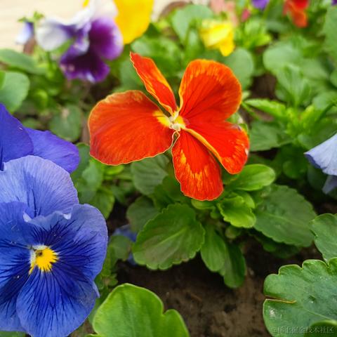 onetwo于2022-11-21 14:02发布的图片