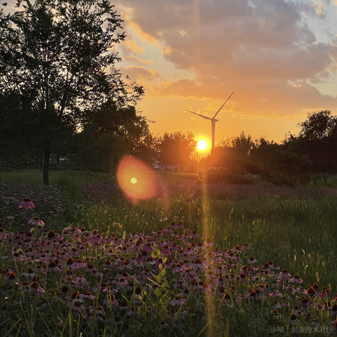 不知道起什么名字啊于2021-07-17 23:02发布的图片