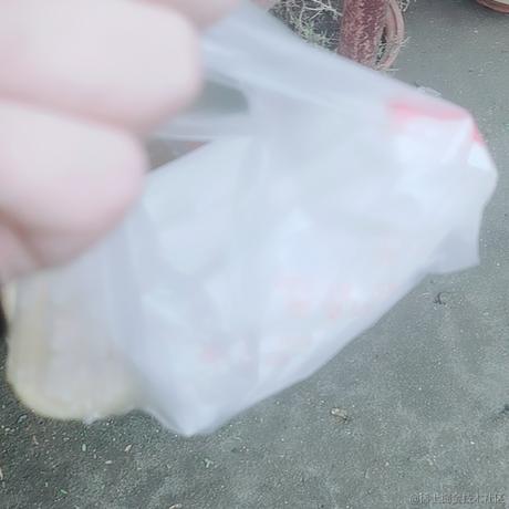 愿极星指引着你于2022-11-18 08:17发布的图片