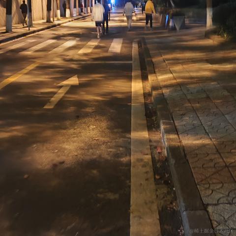 不飞则已一飞于2023-04-05 21:01发布的图片