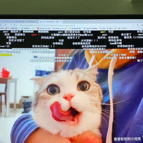 zha雯于2020-08-06 16:10发布的图片