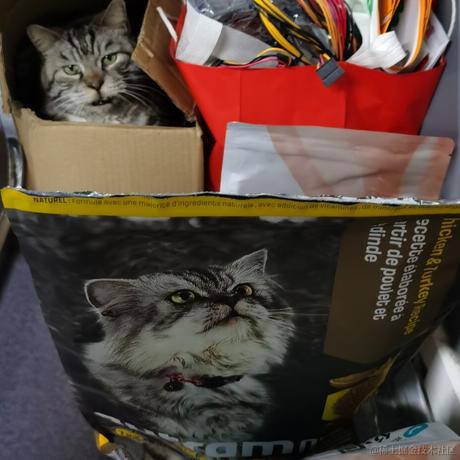 HumorDrill于2023-07-06 11:23发布的图片