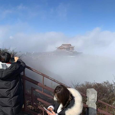 他们叫我野猪王于2021-12-20 22:41发布的图片