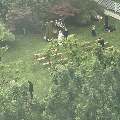 悔不该杀那华佗吆于2023-05-25 16:05发布的图片