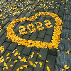 IT技术分享社区于2022-11-18 07:24发布的图片