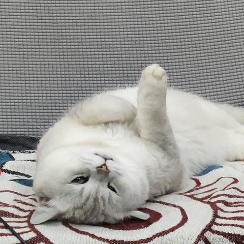 叨叨呀于2022-06-16 09:46发布的图片