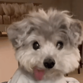 Galaxy_iss于2022-12-05 11:33发布的图片