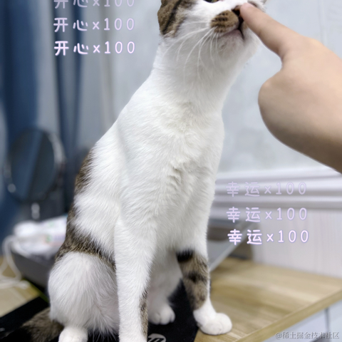 西红柿番茄于2022-01-11 10:26发布的图片