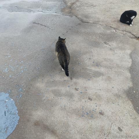 蹄蹄于2022-11-27 17:27发布的图片