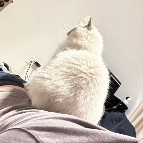 打你的修狗于2023-04-14 18:17发布的图片