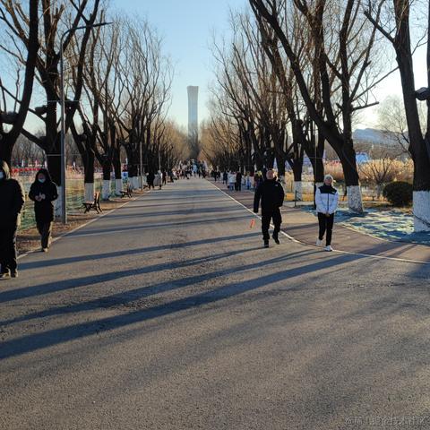 冒泡的肥皂于2024-01-14 16:31发布的图片