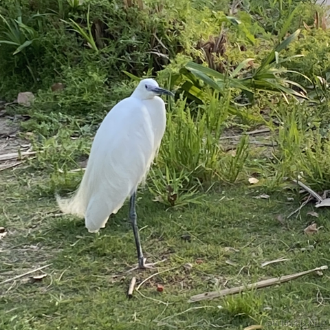糖醋快乐水于2023-05-12 15:02发布的图片