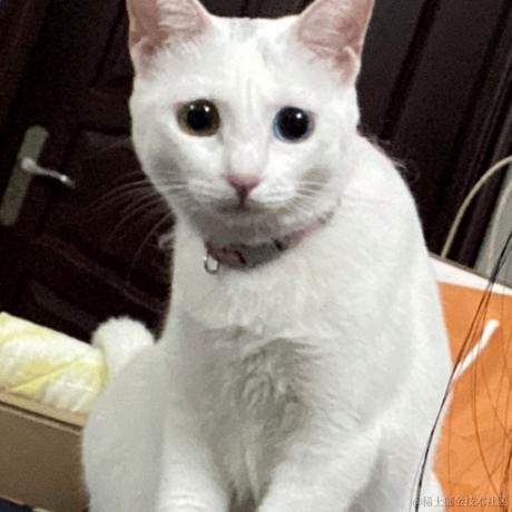 呐呐呐呐呐呐于2022-11-17 22:11发布的图片