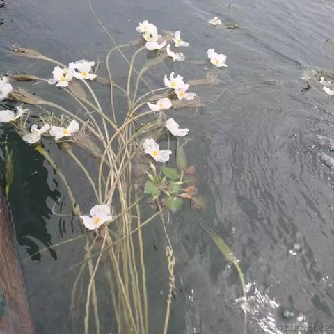 汽水味的小盆友于2022-11-15 23:34发布的图片