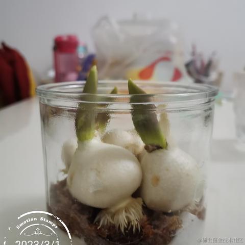 老柴不加班于2023-03-09 13:35发布的图片