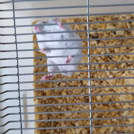 时之瞳于2022-11-20 14:37发布的图片