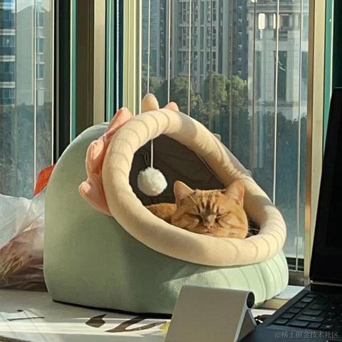 勇敢阿鱼于2023-01-04 13:45发布的图片