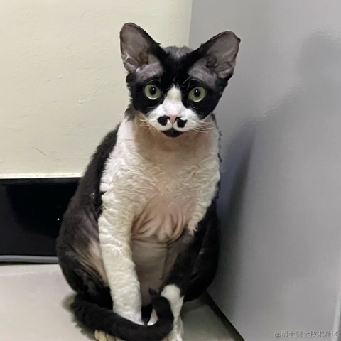 BooBoo于2021-12-27 15:47发布的图片