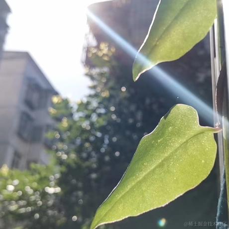 郭亚兰于2021-08-09 16:21发布的图片