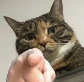 力扣数据库postgre