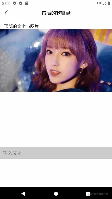 softinput_05.gif