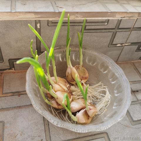 vileewills于2022-10-20 01:27发布的图片