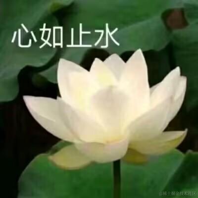 Hdjrm于2023-05-31 23:16发布的图片
