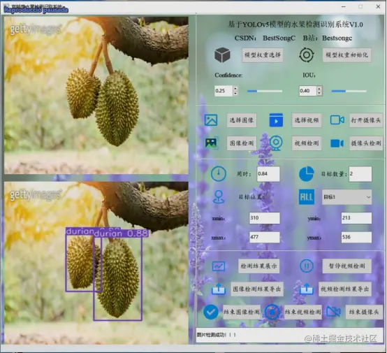 高精度水果检测识别系统482.png