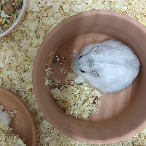 敲敲敲敲暴你脑袋于2023-10-16 07:43发布的图片