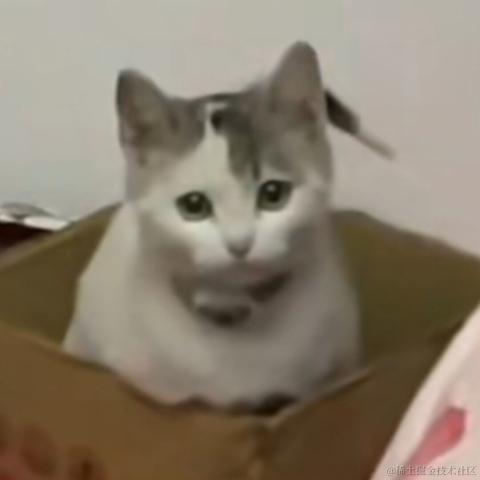 本喵是FW于2023-04-15 23:31发布的图片