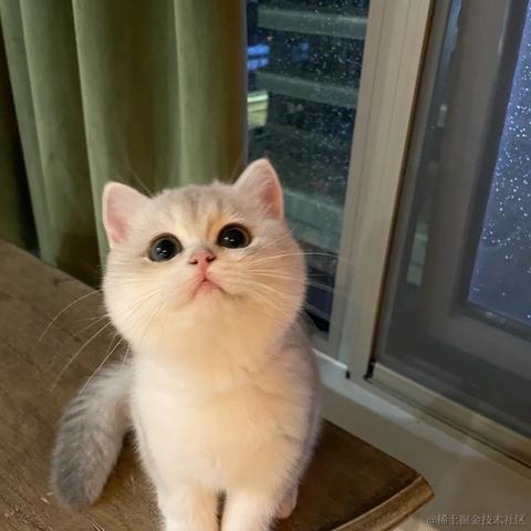 Livingbody于2021-10-29 11:04发布的图片