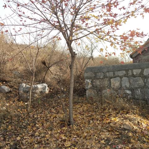 然能量于2022-11-26 00:21发布的图片