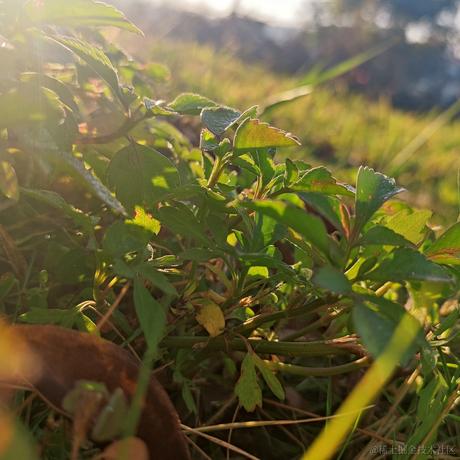 guara于2022-12-09 10:06发布的图片