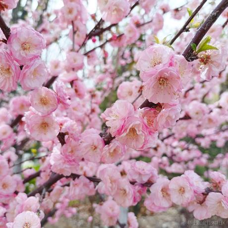 倾言asuka于2023-07-03 15:56发布的图片