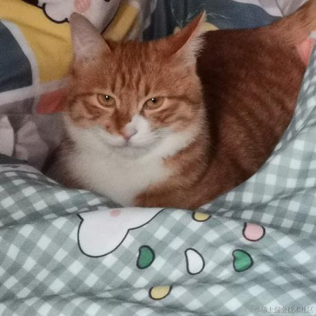 柒弎于2022-11-10 00:13发布的图片