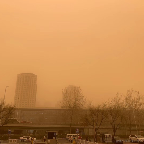 沉默寡言左家琦于2021-03-15 12:57发布的图片