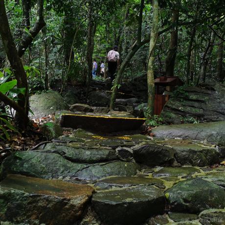 wt1于2023-07-05 21:11发布的图片