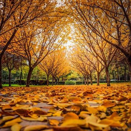 贝拉的小管家于2022-11-22 09:30发布的图片