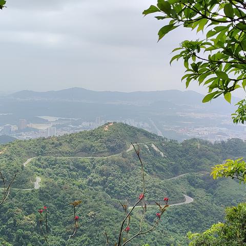 小绵羊呀于2023-05-04 08:58发布的图片